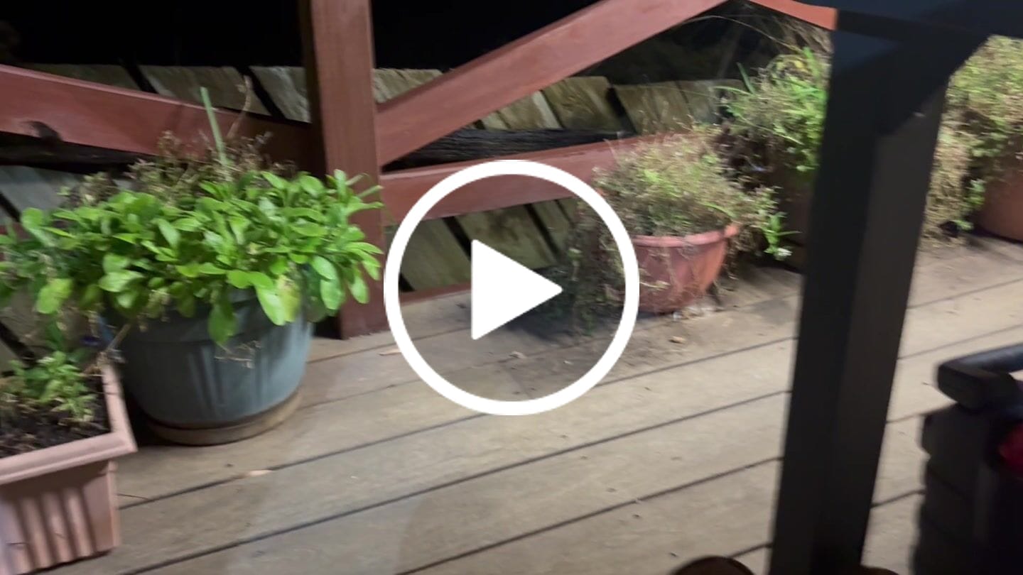 Customer video review of Ankle Boot