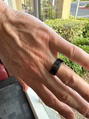 Customer photo review of The Meteorsaur