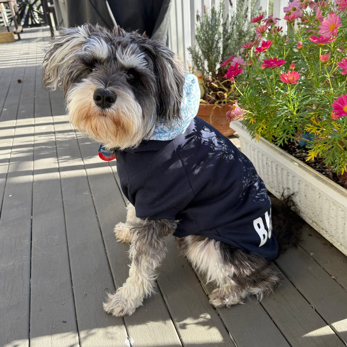 Customer photo review of Hoodie - Henry Dark Navy