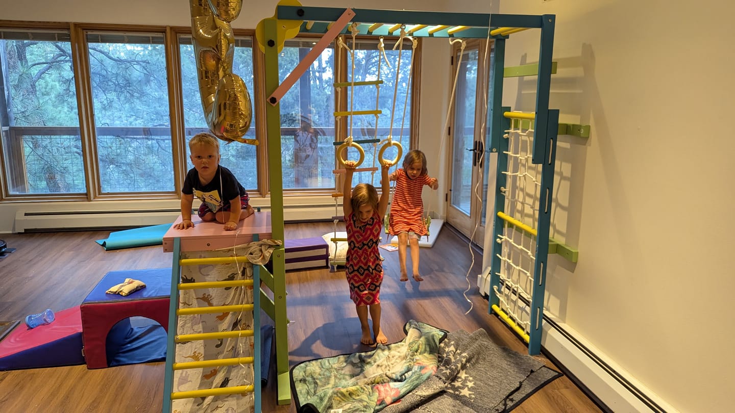 Customer photo review of Grove- Indoor Jungle Gym