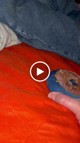 Customer video review of Bone Refills Dog Meat 90 Grams (4 Pack)®