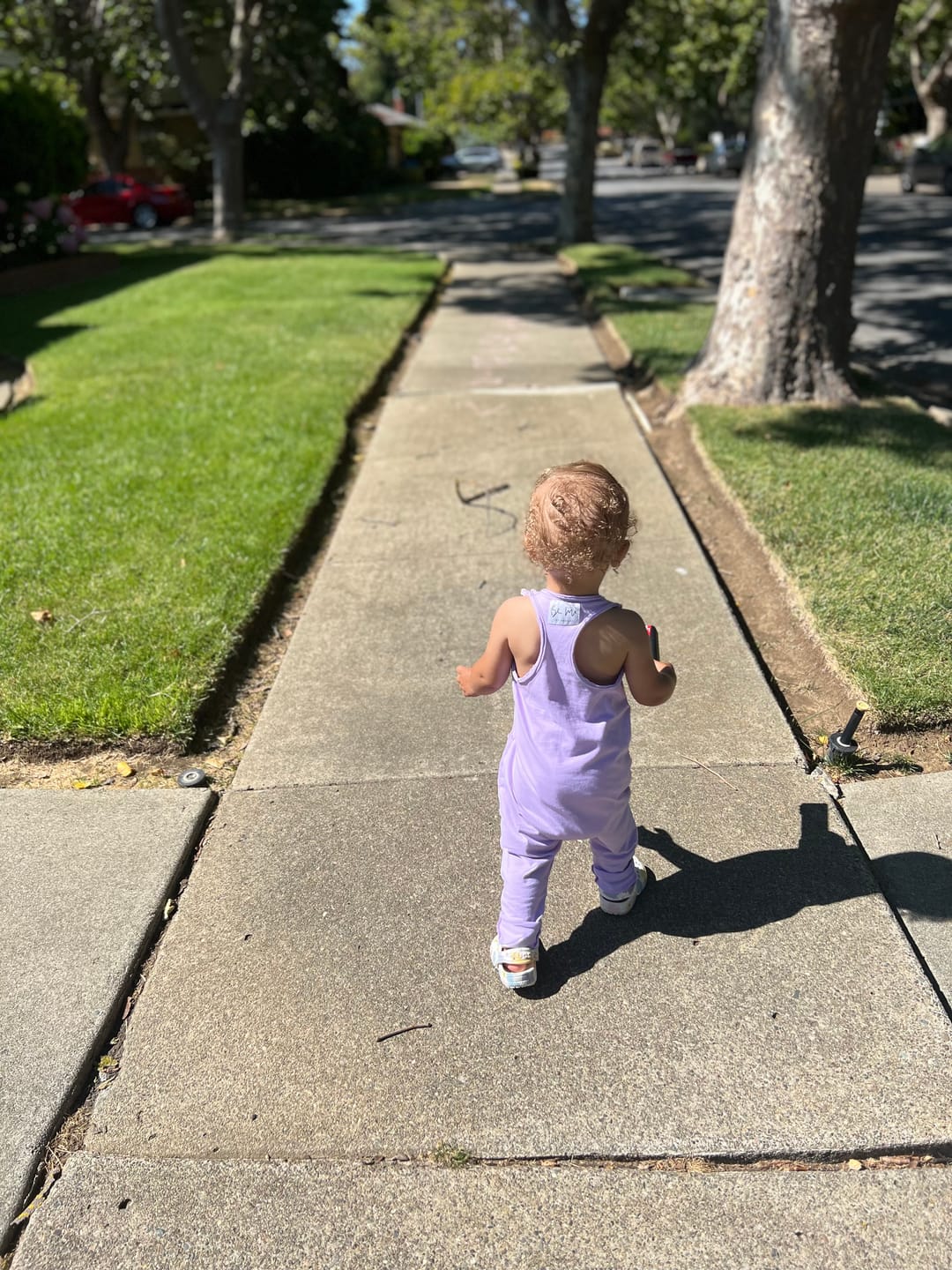 Customer photo review of Baby Romper Purple