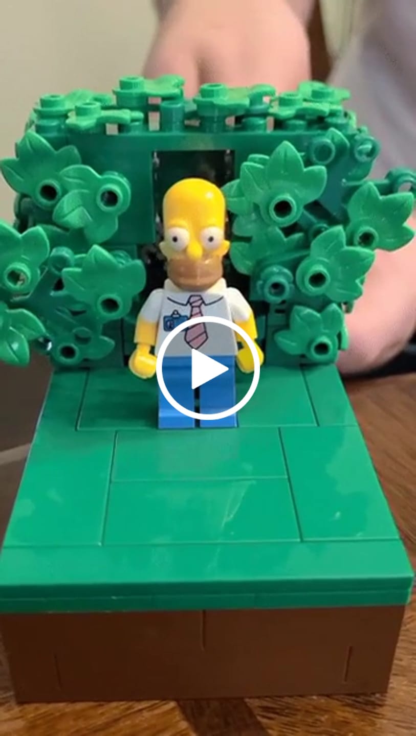 Customer video review of Homer Vanishing Into the Bushes