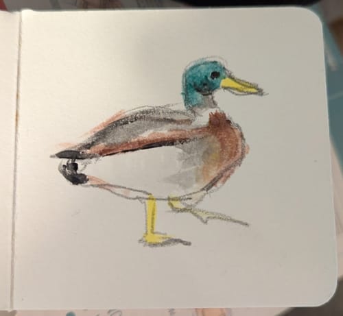 Customer photo review of Tobio's™ Watercolor Kit