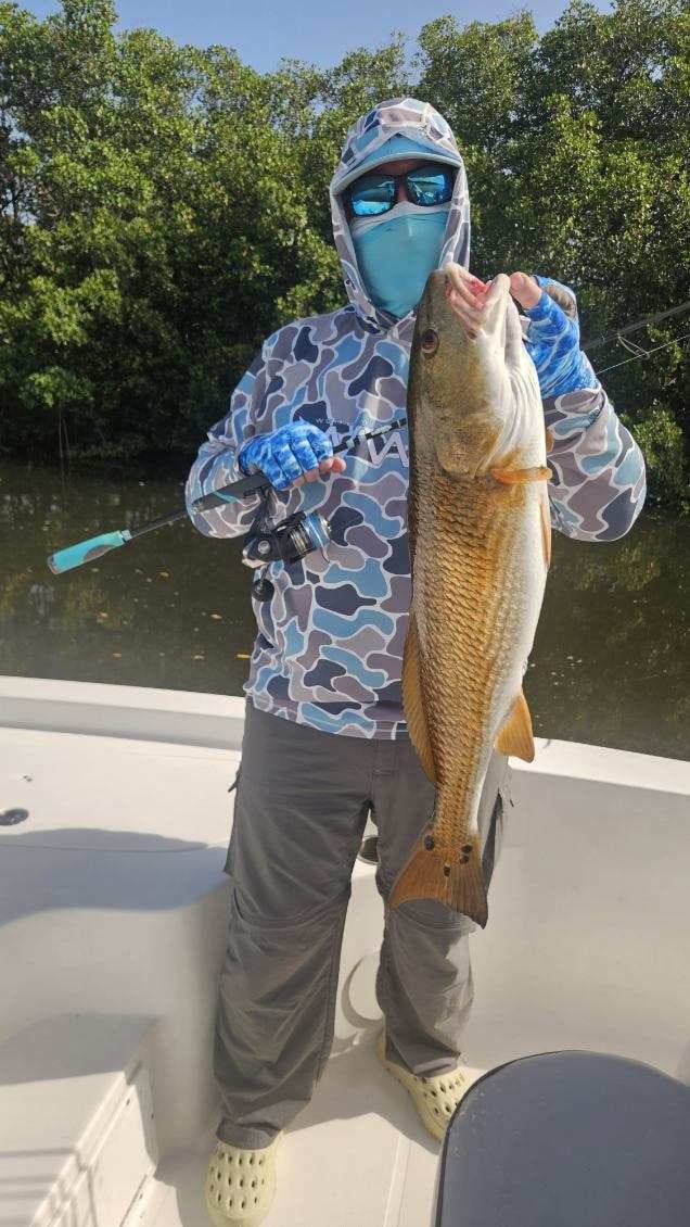 Customer photo review of Blue Wave 300-2000 Yard Spools
