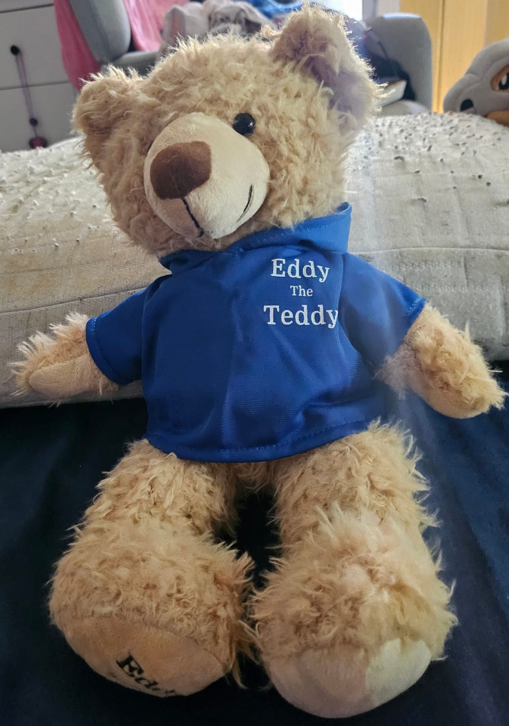 Customer photo review of Eddy The Teddy Bear