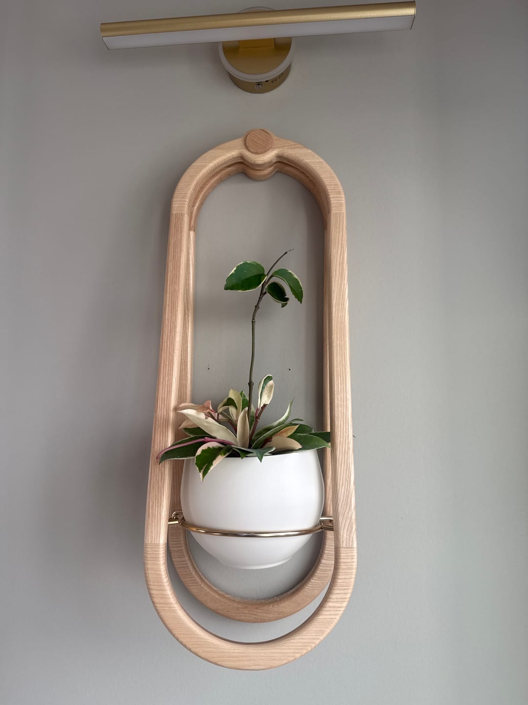 Customer photo review of Frame Wall Planter + Pot Duo