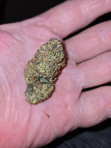 Customer photo review of Mochi