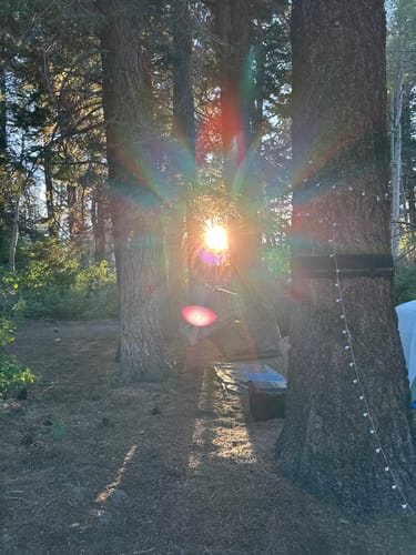 Customer photo review of Haven XL