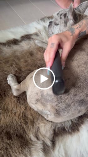 Customer video review of Fellwunder-Bürste