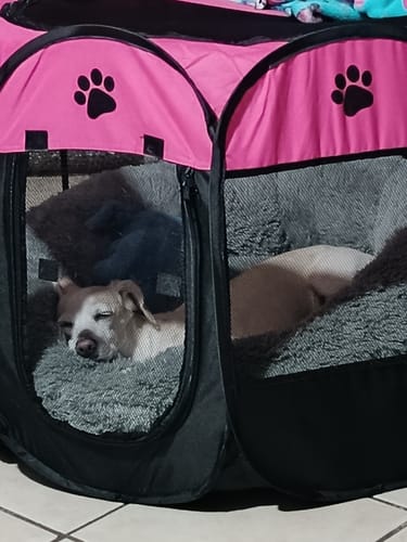 Customer photo review of Cama Antiestrés para Perros