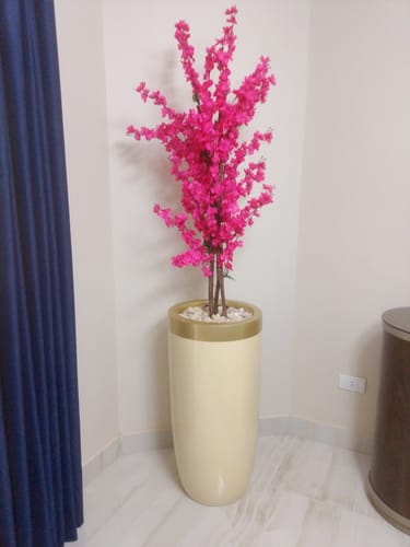 Customer photo review of إناء زرع مع شجرة مشمش  - FL106