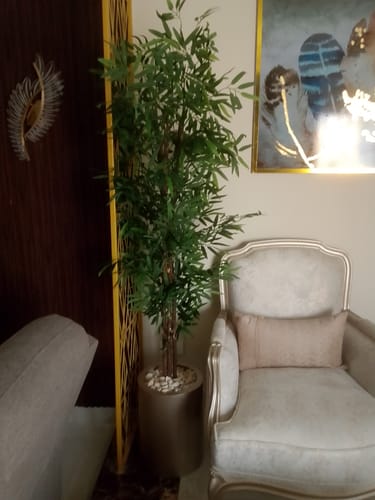 Customer photo review of إناء زرع مع شجرة بامبو 170سم- FL118