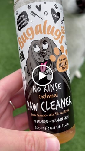 Customer video review of Oatmeal No Rinse Paw Cleaner for Dogs & Cats