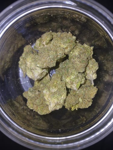 Customer photo review of Papaya Bomb