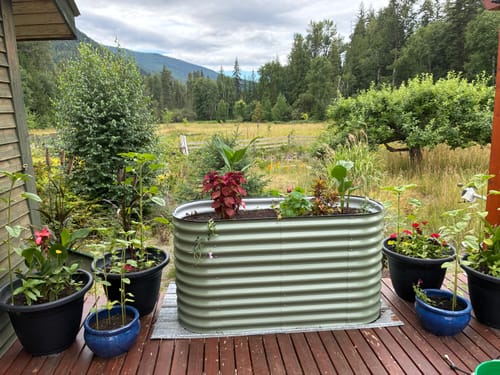 Customer photo review of 32" Tall Extension Kit