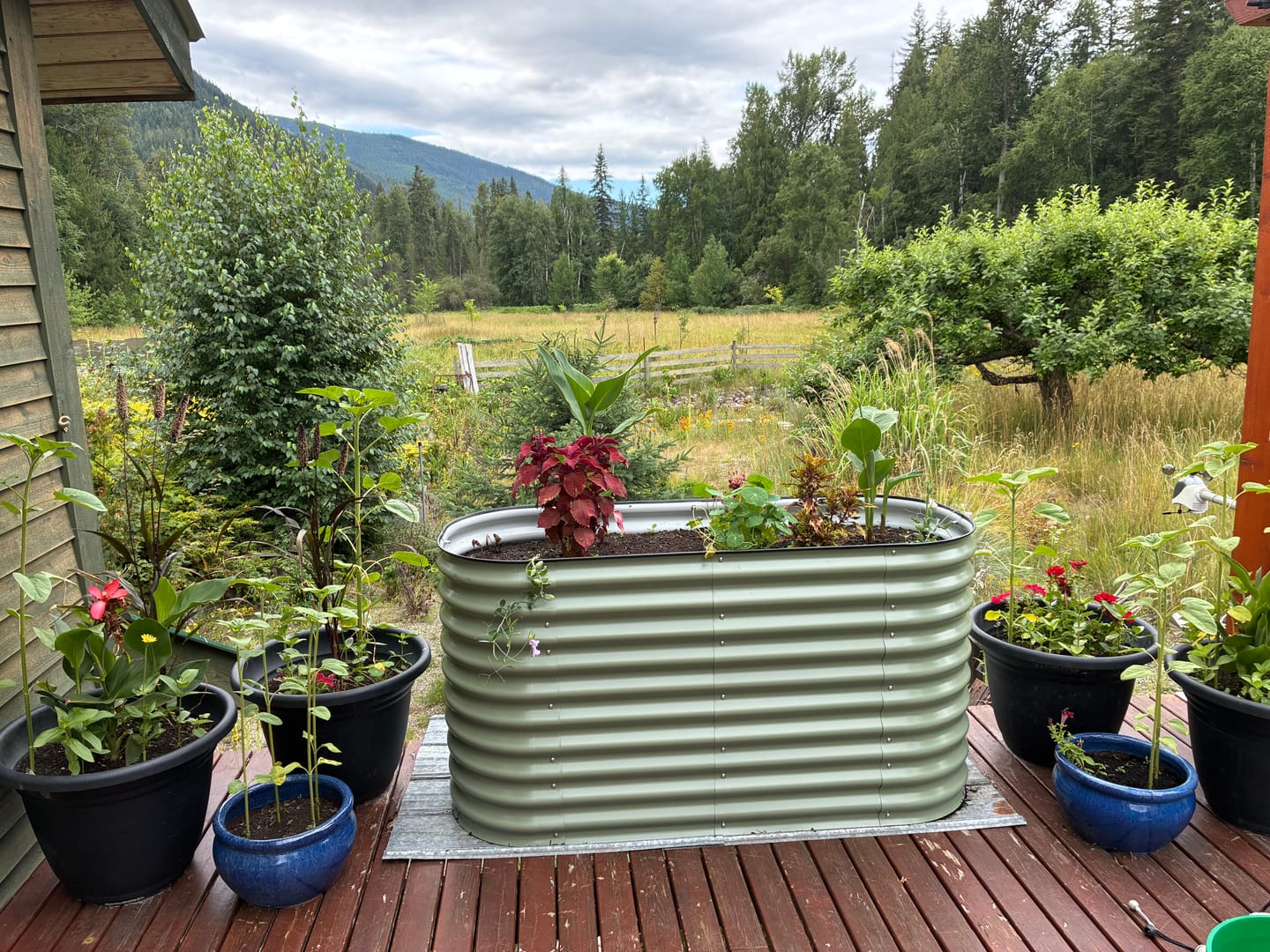 Customer photo review of 32" Tall Extension Kit