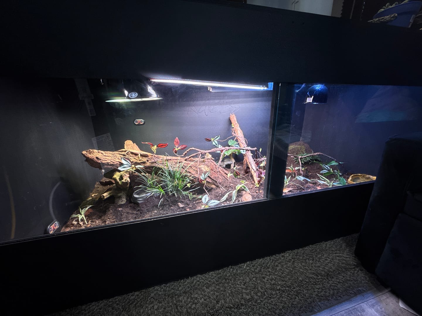 Customer photo review of 72"x36"x36" / 6'x3'x3' Premium PVC Reptile Enclosure