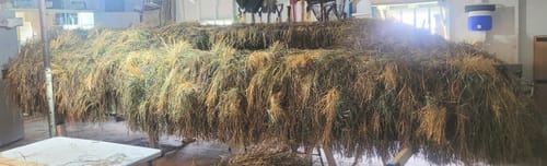 undefined review of Hunting Blind Raffia Grass (Pack) image 1 out of 1