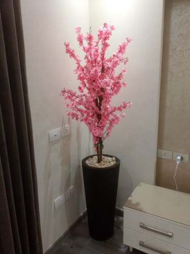 Customer photo review of إناء زرع مع شجرة شيري بلوسوم - FL84