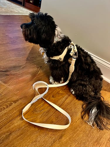 Customer photo review of Grip 360 Sky