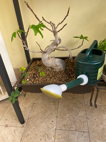 Customer photo review of SUPREMACY CB® (substrato premium ad alte prestazioni)