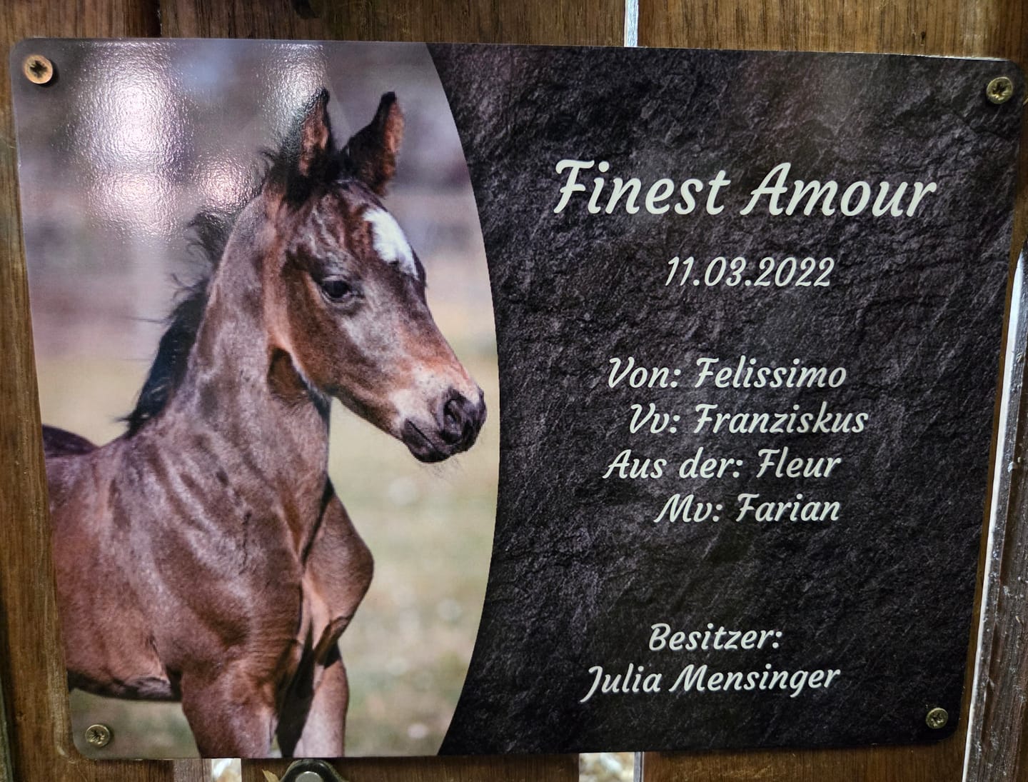 Customer photo review of Pferde Boxenschild mit Foto & Wunschtext (UV- und wetterfest)