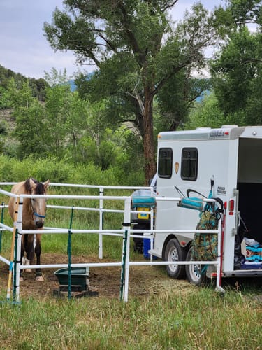 Customer photo review of Modular Horse Corral Portable Panel Fencing: (Liberty 8 Panels; 3 Rails)