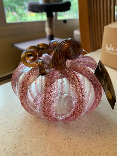 Customer photo review of Glinda, Pink Frost Pumpkin