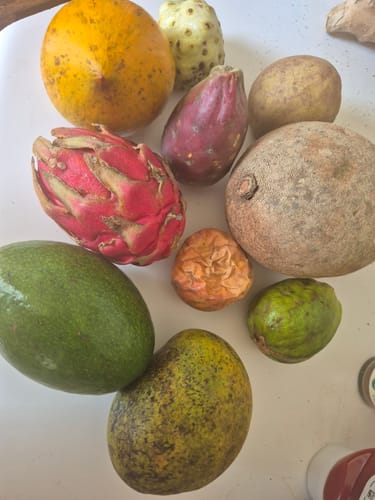 Customer photo review of Tropical Variety Box