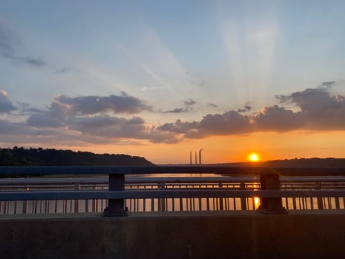 Customer photo review of Mushroom Gummies