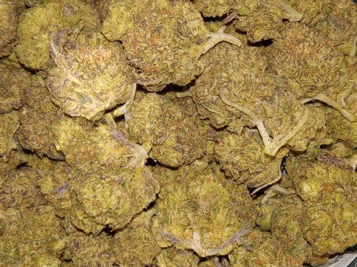 Customer photo review of 1oz Greenhouse Smalls