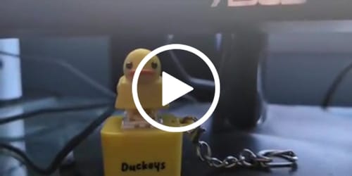 Customer video review of Quackey - Fidget Toy that Quacks!