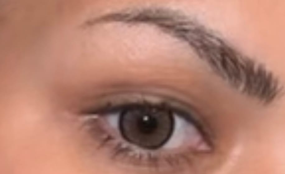 Customer photo review of BELLE | OLIVE BROWN
