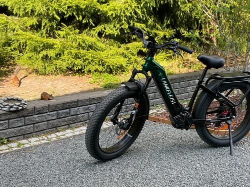 Customer photo review of Lankeleisi MG600 Plus 2025 Version 1000W 26" Fat Bike 960Wh All Terrain SUV E-Bike with Torque Sensor 48V 20Ah Battery  [Pre-order]