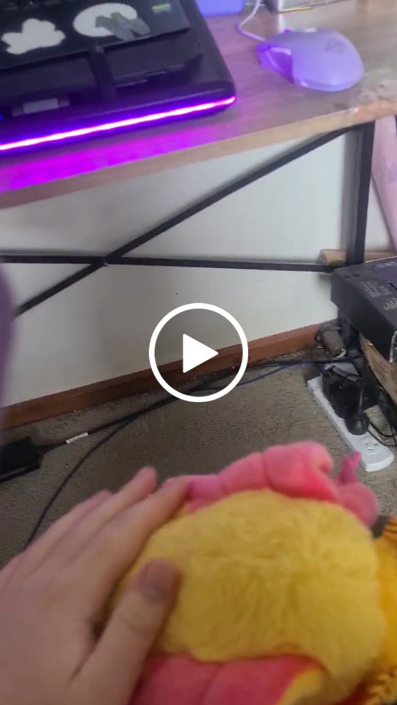 Customer video review of Rosy Maple Moth Soft Stuffed Plush Toy