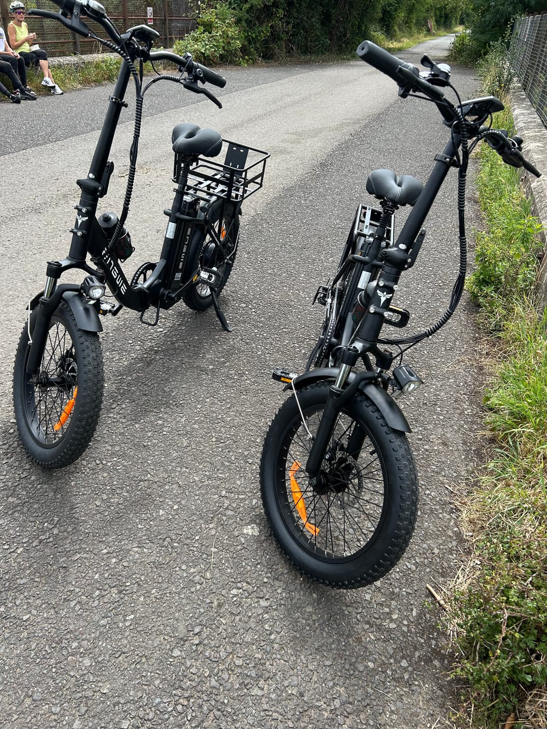 Customer photo review of Engwe L20 SE 250W 20" Foldable Electric Trekking Bike 561Wh Step-through E-bike