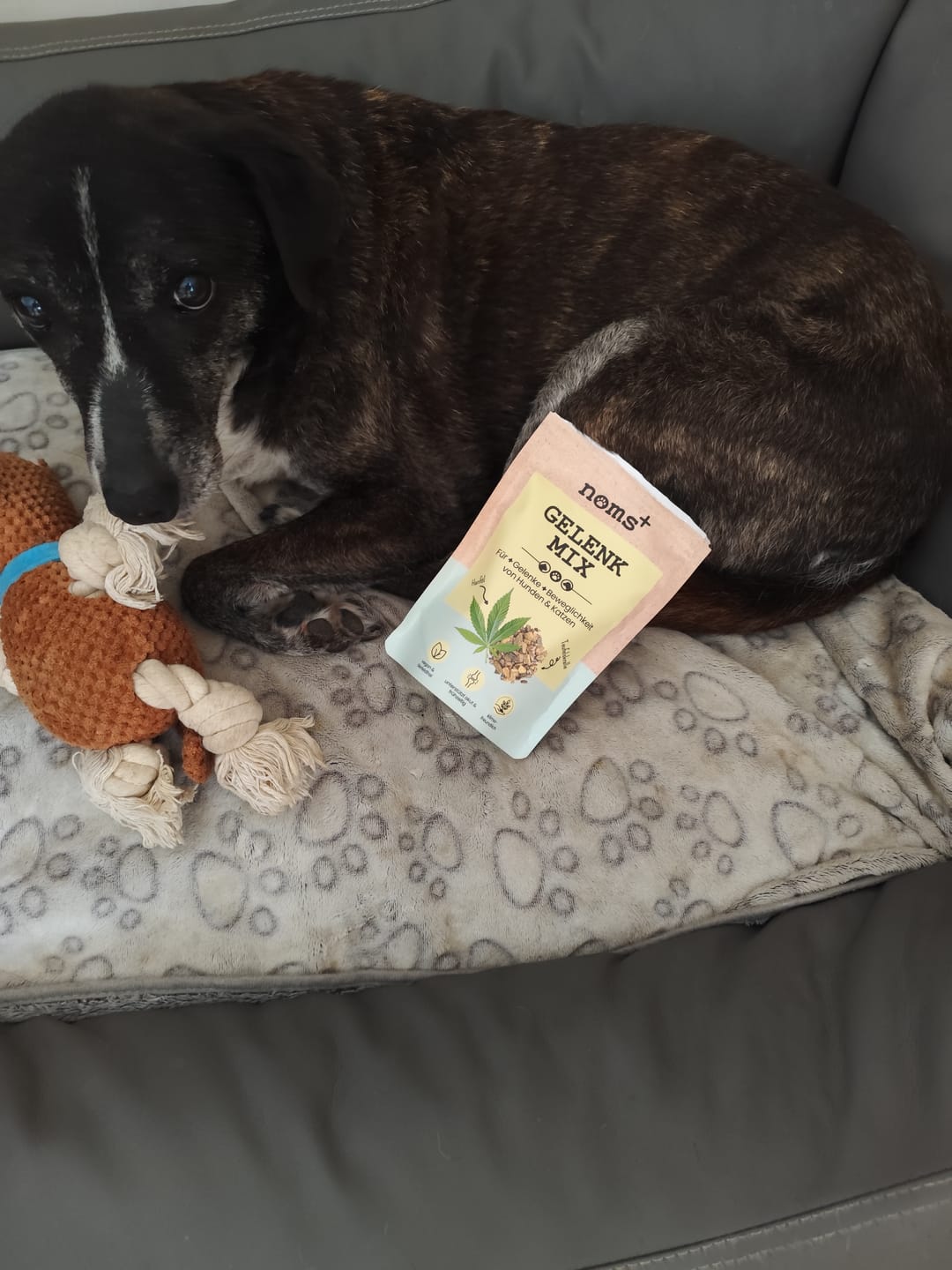 Customer photo review of Gelenkmix Sensitiv & vegan für Hunde und Katzen mit Teufelskralle, Kurkuma & Glucosamin
