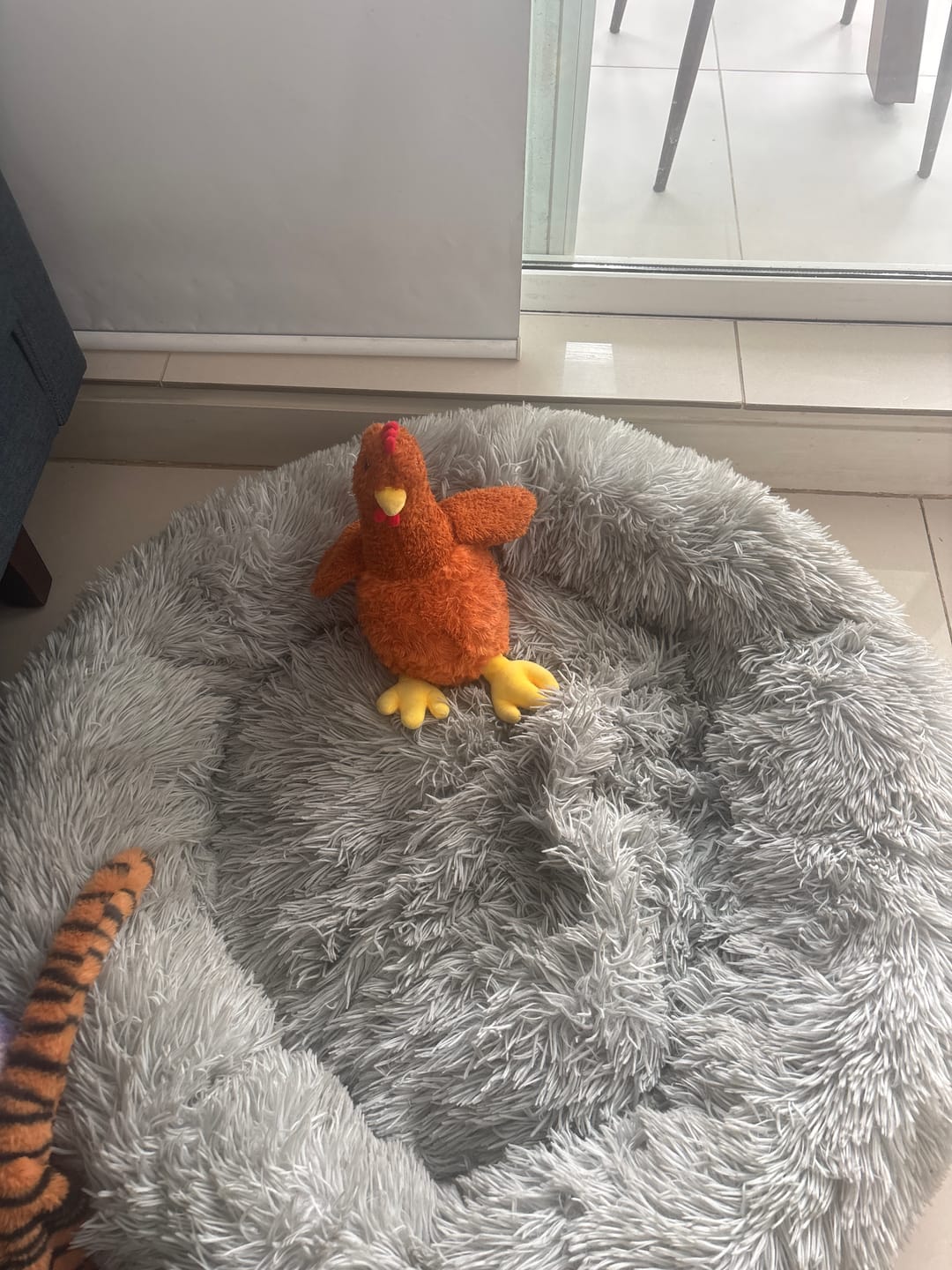 Customer photo review of Gallina Anti estrés THE DOGS