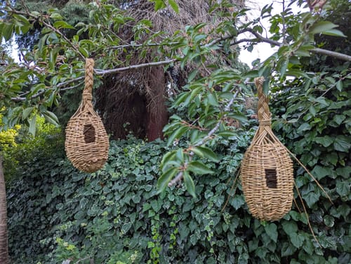 Customer photo review of The Bird Box - Course and Kit