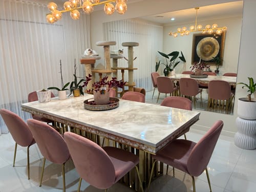 Customer photo review of Alaina Dining Chair Blush Velvet And Gold Frame (Set of 2)