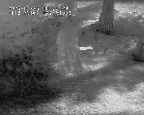 Customer photo review of Predator Ghillie™ SPECTRALFLAGE BLANKET