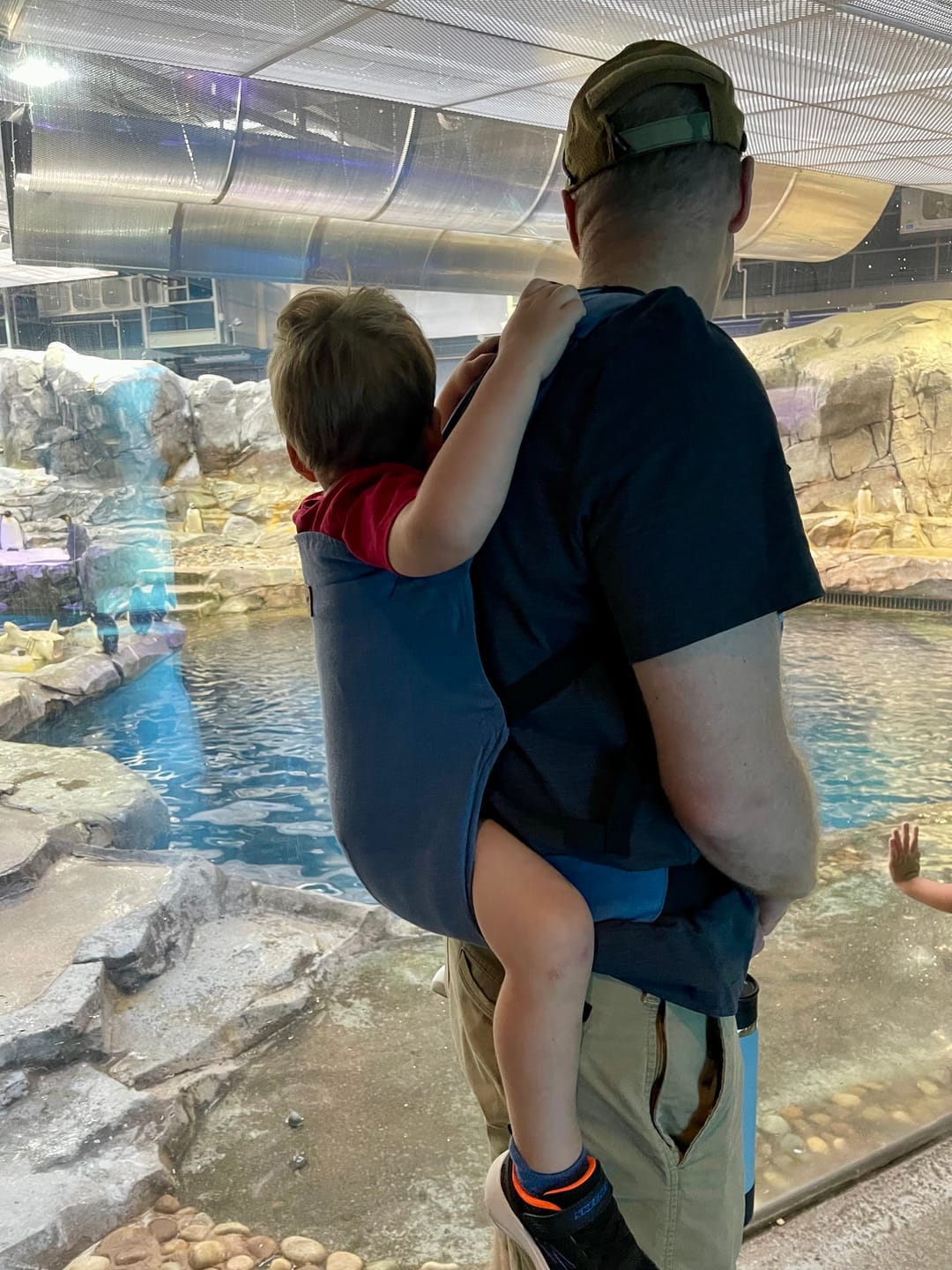 Customer photo review of Happy Toddler Carrier