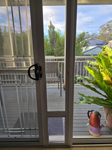 Customer photo review of Patio Pet Door Insert