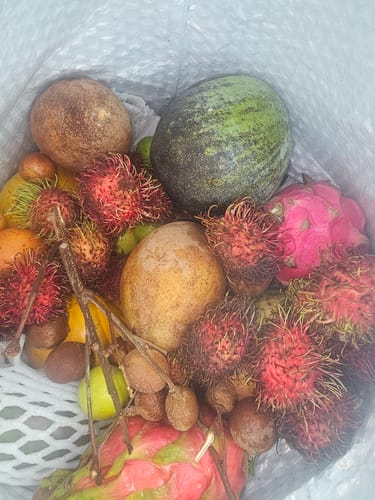 Customer photo review of Tropical Variety Box