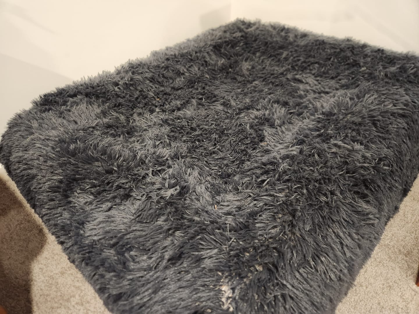 Customer photo review of Calming Cover