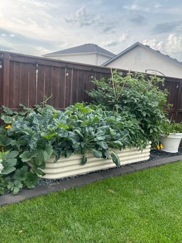 Customer photo review of 17” Tall Modular 9 in 1