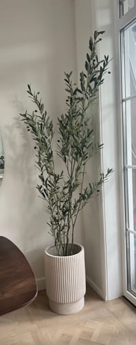 Customer photo review of Kunst Olijfboom 210cm