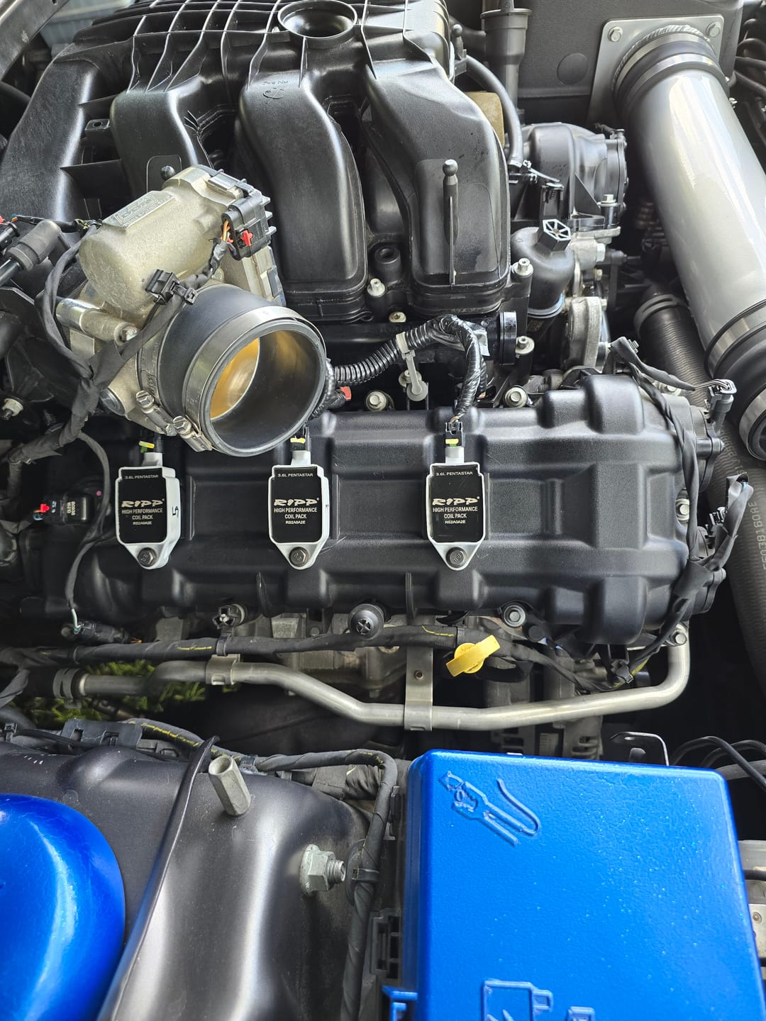Customer photo review of RIPP V6 High Performance Coil Packs