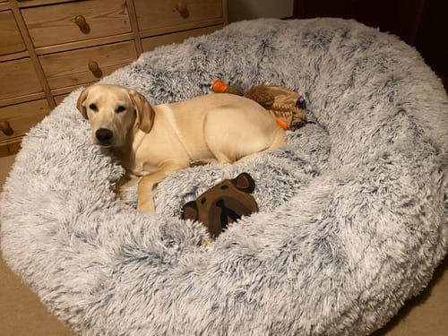 Customer photo review of GIANT Super Plush Donut Bed